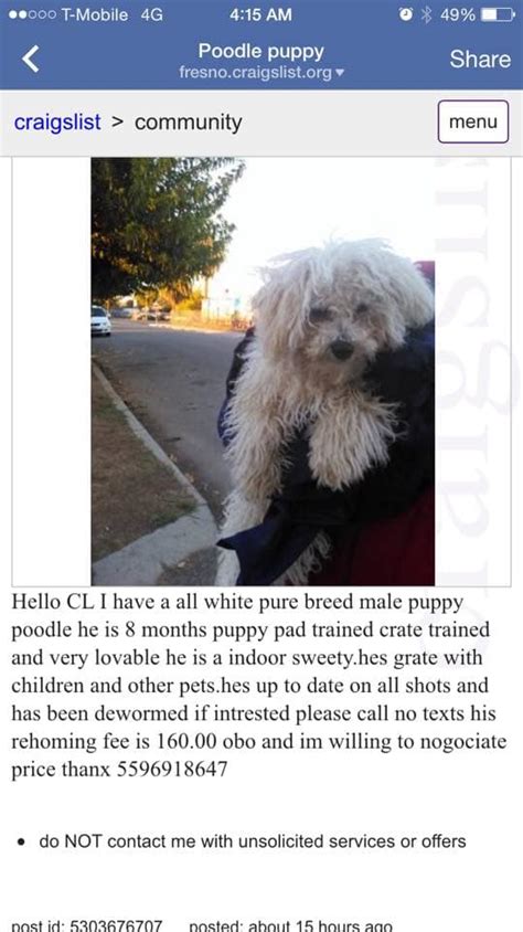 search a wider area. . Mobile craigslist pets